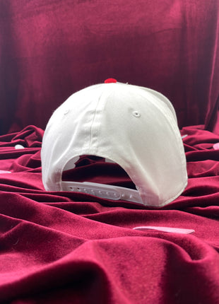 Roses are red violets are blue I eat coochie and booty hole too White/red Midcrown Snapback Custom Embroidered Cap Hat
