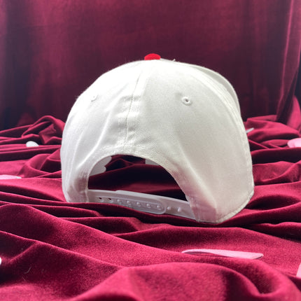 Roses are red violets are blue I eat coochie and booty hole too White/red Midcrown Snapback Custom Embroidered Cap Hat