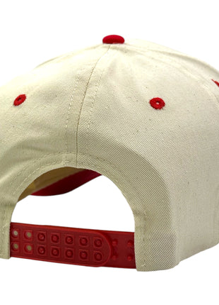 I WOULD Embroidered Hat