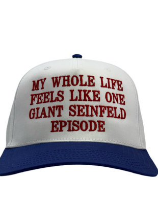 My Whole Life Feels Like One Giant Episode Custom Embroidered Hat