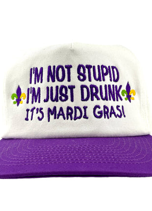 IM NOT STUPID IM JUST DRUNK MARDI GRAS SnapBack Cap Hat Custom Embroidered