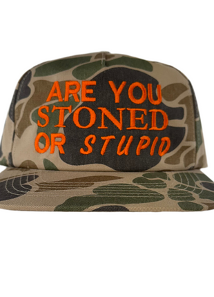 Are You Stupid Custom Embroidered Camo Funny Hat