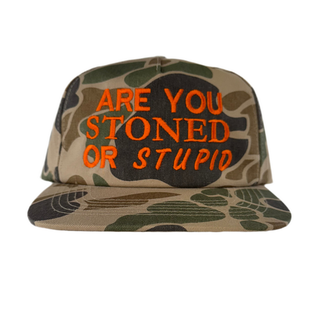 Are You Stupid Custom Embroidered Camo Funny Hat