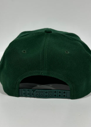 I Dropped ACID at Disneyworld Green SnapBack Cap Hat Custom Embroidered