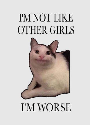 IM NOT LIKE OTHER GIRLS IM WORSE CAT TEE CUSTOM PRINTED WHITE T-SHIRT