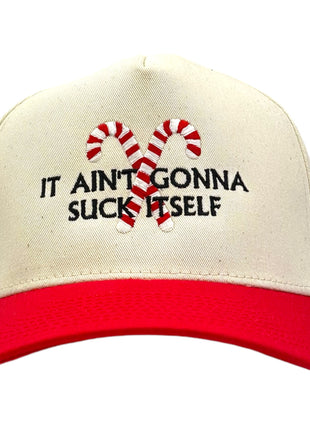 IT AINT GONNA SUCK ITSELF Embroidered Hat Funny Christmas