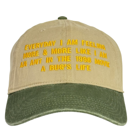 Funny Introvert Hat Everyday I Am Feeling More & More Like I’m an Ant in A Bug’s Life Embroidered Cap