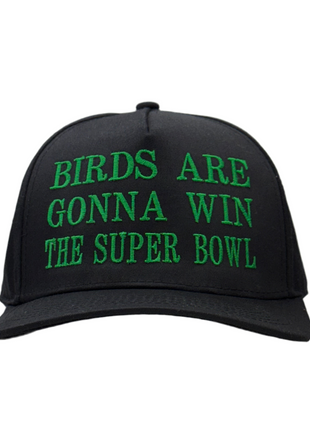 Birds Are Gonna Win The Bowl Custom Embroidered Hat SnapBack