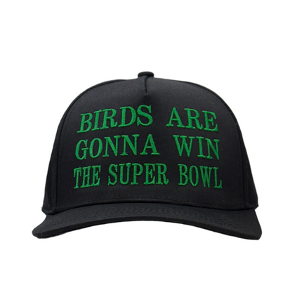 Birds Are Gonna Win The Bowl Custom Embroidered Hat SnapBack