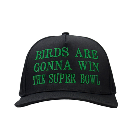Birds Are Gonna Win The Bowl Custom Embroidered Hat SnapBack