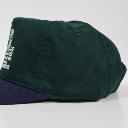 Born to D World is a F Custom embroidered Strapback cap hat Vintage blank