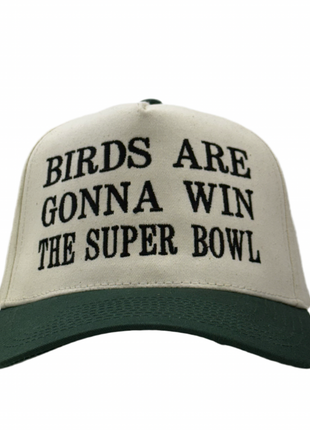 Birds Are Gonna Win The Bowl Custom Embroidered Hat SnapBack