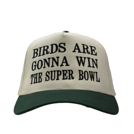 Birds Are Gonna Win The Bowl Custom Embroidered Hat SnapBack
