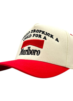 I WOULD Embroidered Hat