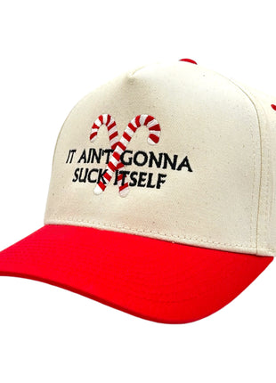 IT AINT GONNA SUCK ITSELF Embroidered Hat Funny Christmas