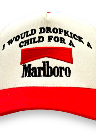 I WOULD Embroidered Hat