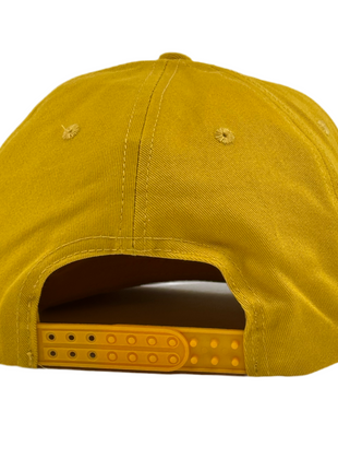 The Mothman Stole My EBT Card Embroidered Hat