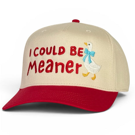 I Could Be Meaner Goose Hat