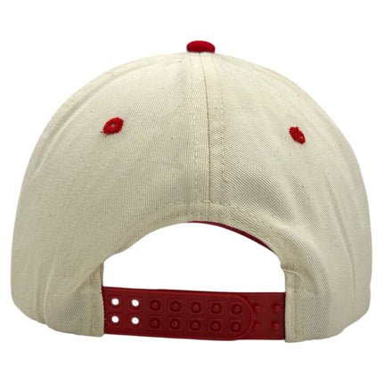 MAKE AMERICA HEALTHY AGAIN Embroidered Hat