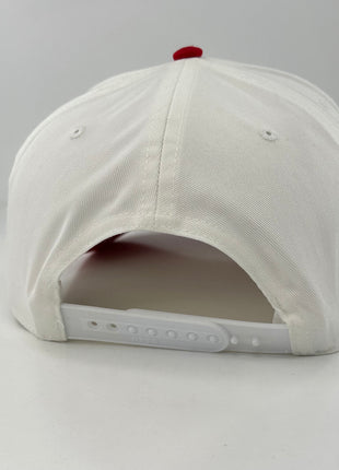 Doritos Deftones SnapBack Custom Embroidered Hat