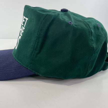 Planet of the Bass Custom Embroidered Strapback Hat Cap