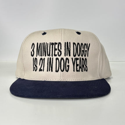 3 Minutes In Doggy Is 21 In Dog Years Vintage Strapback Hat Cap Custom Embroidery