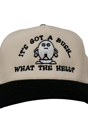 Dude it’s got a bush what the H custom embroidered hat SnapBack cream/black I Think You Should Affirm