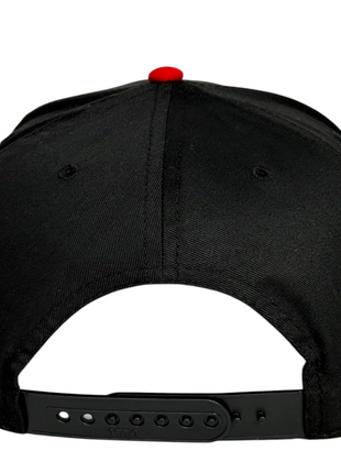 A lion Wouldn’t Drink and Drive But a Tiger Wood Custom Embroidered Hat ￼o