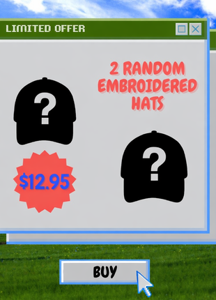 2 Random Embroidered Hats