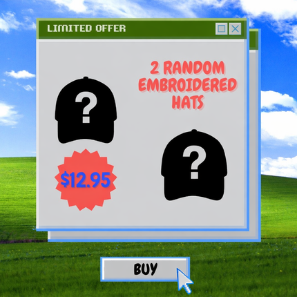 2 Random Embroidered Hats