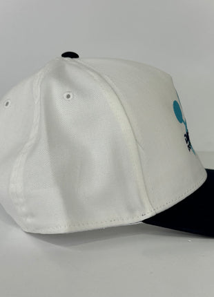 Darmine Doggy Door custom embroidered hat I think you should affirm