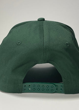 The government can take my guns they will not take my cigarettes funny custom embroidered SnapBack green trucker