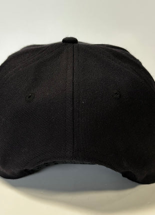 I GOT INTO A FIGHT ON JERRY SPRINGER Black SnapBack Cap Hat Custom Embroidered