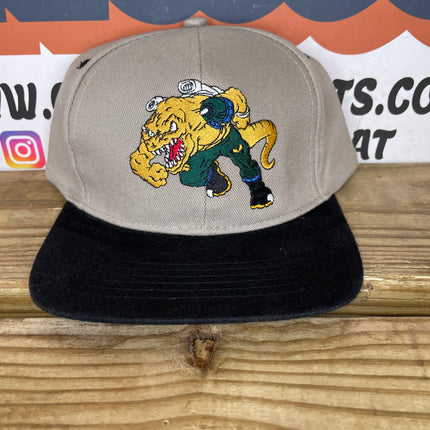 Vintage Dinosaurs SnapBack Hat Cap