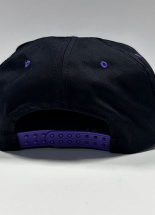 SEND ME FEET PICS Custom Embroidred on a purple rope SnapBack hat cap