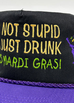 IM NOT STUPID IM JUST DRUNK MARDI GRAS Vintage Purple Brim SnapBack Cap Hat Custom Embroidered