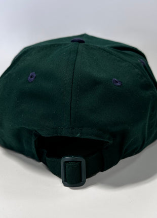 I Got Baptized in Creek Water Green Crown Blue Brim Strapback Hat Cap Custom Embroidery