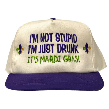 IM NOT STUPID IM JUST DRUNK MARDI GRAS Vintage SnapBack Cap Hat Custom Embroidered