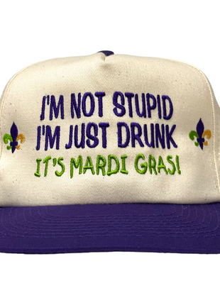 IM NOT STUPID IM JUST DRUNK MARDI GRAS Vintage SnapBack Cap Hat Custom Embroidered
