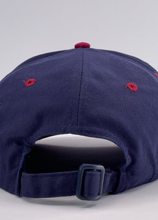 SHOW ME YOUR BOOBS Graphic Vintage Strapback Cap Hat Funny For Him or Her Custom Embroidered