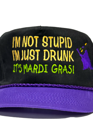 IM NOT STUPID IM JUST DRUNK MARDI GRAS Vintage Purple Brim SnapBack Cap Hat Custom Embroidered