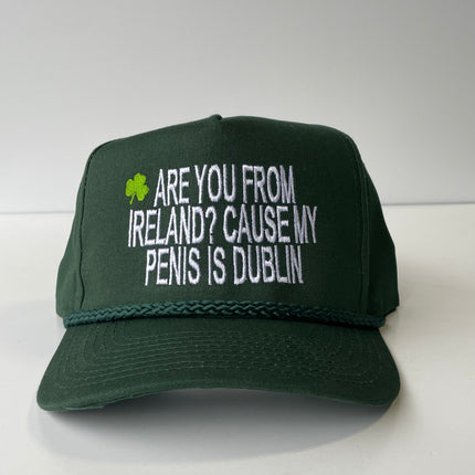 St. Patricks Day Are You From Ireland Cause My Penis is Dublin Green Rope SnapBack Cap Custom Embroidered NSFW hat