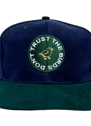 Don’t Trust The Birds Vintage Green Brim Mid Crown Strapback Cap Hat Custom Embroidered