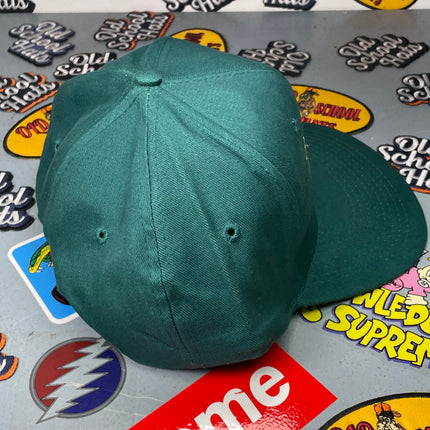 DUCK Old School Vintage Custom Embroidered Green Snapback Ball Cap Hat