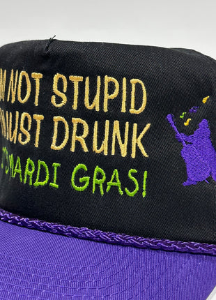 IM NOT STUPID IM JUST DRUNK MARDI GRAS Vintage Purple Brim SnapBack Cap Hat Custom Embroidered